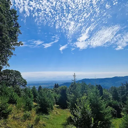 Au-dessus Des Nuages - Parking Prive Turckheim
