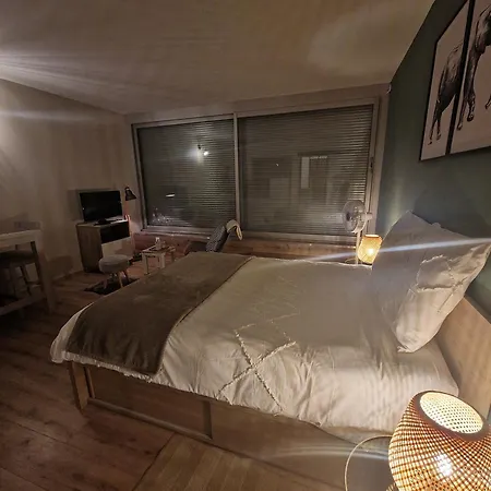 Au-dessus Des Nuages - Parking Prive Apartment Turckheim